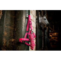 Capestro e lunghina Horseware Newmarket Rose witney Rosa