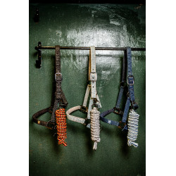 Capestro e lunghina Horseware Newmarket Capestro e lunghina Horseware Newmarket