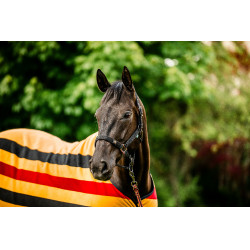 Capestro e lunghina Horseware Newmarket Capestro e lunghina Horseware Newmarket