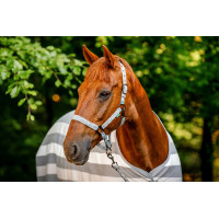 Capestro e lunghina Horseware Newmarket Carbone di legna Witney Grigio