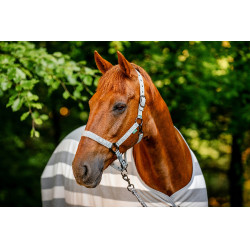 Capestro e lunghina Horseware Newmarket Carbone di legna Witney Grigio Capestro e lunghina Horseware Newmarket Carbone di legna Witney Grigio