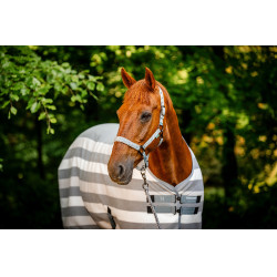 Capestro e lunghina Horseware Newmarket Carbone di legna Witney Grigio Capestro e lunghina Horseware Newmarket Carbone di legna Witney Grigio