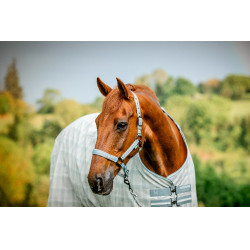 Capestro e lunghina Horseware Newmarket Carbone di legna Witney Grigio Capestro e lunghina Horseware Newmarket Carbone di legna Witney Grigio
