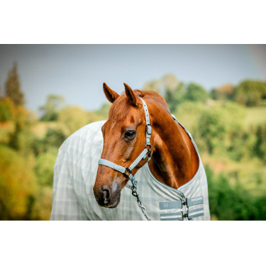 Capestro e lunghina Horseware Newmarket Carbone di legna Witney Grigio Capestro e lunghina Horseware Newmarket Carbone di legna Witney Grigio