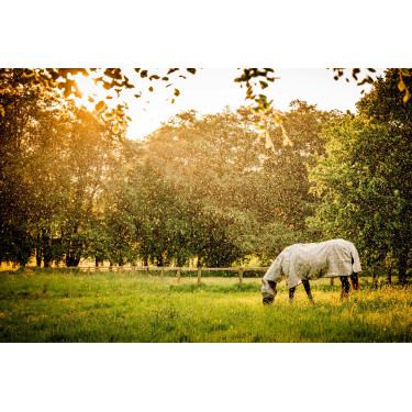 Maschere anti-mosche Horseware Newmarket Carbone di legna Witney Grigio