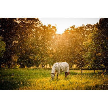 Maschere anti-mosche Horseware Newmarket Carbone di legna Witney Grigio