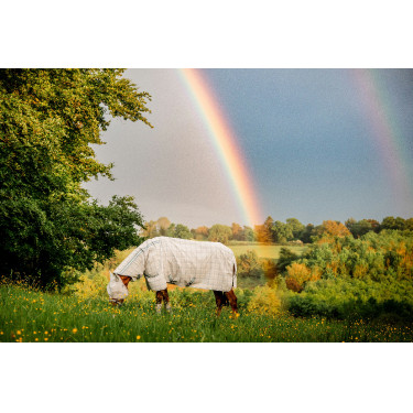 Maschere anti-mosche Horseware Newmarket Carbone di legna Witney Grigio