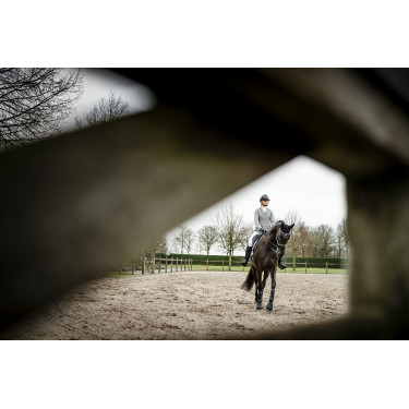 Pantaloni Horseware AA Aria a vita media full seat Pantaloni Horseware AA Aria a vita media full seat