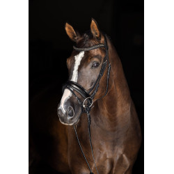 Museruola Covalliero Laccato nero