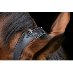 Briglia anatomica Covalliero Nero