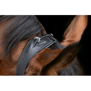 Briglia anatomica Covalliero Nero