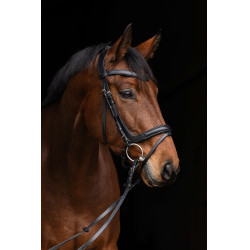 Briglia anatomica Covalliero Nero