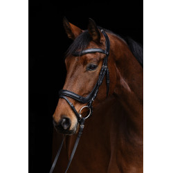 Briglia anatomica Covalliero Nero