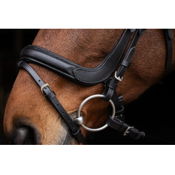 Briglia anatomica Covalliero Nero