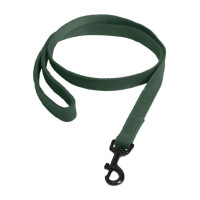 Lascia Kentucky per cane Lucertola Verde oliva