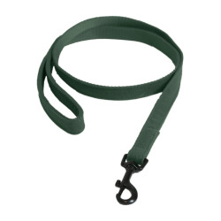 Lascia Kentucky per cane Lucertola Verde oliva