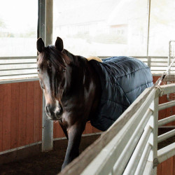 Sottopancia da passeggio Kentucky in nylon Nero