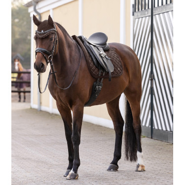 Cuffia anti-mosche Nepal Waldhausen Marrone