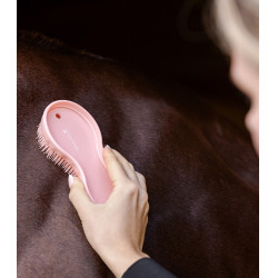 Spazzola Waldhausen All-in-one Grigio / rosa Spazzola Waldhausen All-in-one Grigio / rosa