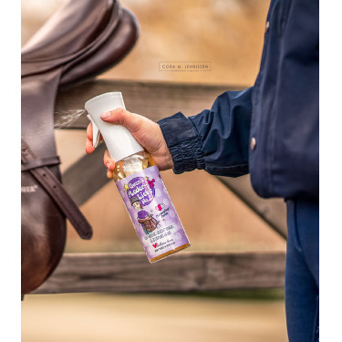 Detergente per cuoio Soulhorse Gwen's Leder-Liebe No.2 Detergente per cuoio Soulhorse Gwen's Leder-Liebe No.2