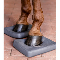 Plantari Waldhausen Health + Care Balance Grigio