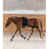Benda per il corpo Waldhausen posteriore Nero Benda per il corpo Waldhausen posteriore Nero