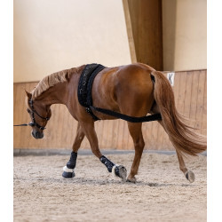 Benda per il corpo Waldhausen posteriore Nero Benda per il corpo Waldhausen posteriore Nero