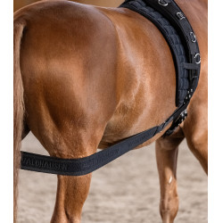 Benda per il corpo Waldhausen posteriore Nero Benda per il corpo Waldhausen posteriore Nero