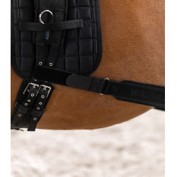 Benda per il corpo Waldhausen posteriore Nero Benda per il corpo Waldhausen posteriore Nero