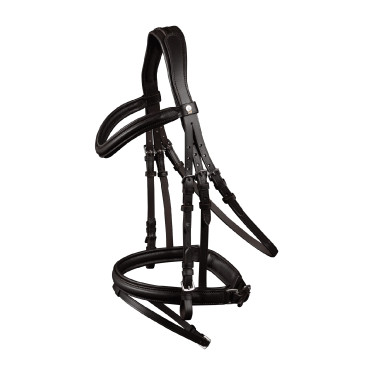 Bridon Waldhausen X-Line Stoccolma capezzina combinata pull back Marrone