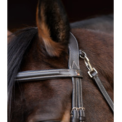 Briglia Waldhausen X-Line Work capezzina combinata Marrone