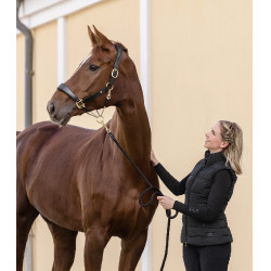 Capezzina in cuoio Waldhausen S-Line Royal Nero