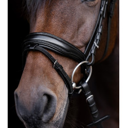 Briglia verniciata Waldhausen S-Line Blackshine capezzina combinata pull back Nero Briglia verniciata Waldhausen S-Line Blackshine capezzina combinata pull back Nero