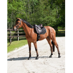 Tappeto GEM Love Nero / verde