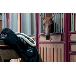 Cinghia da addestramento Web LeMieux Nero