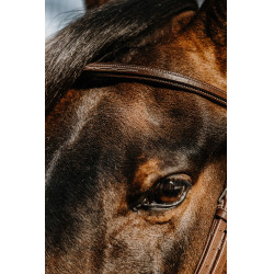 Bridon Norton Hunter comfy Marrone