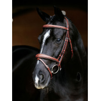 Briglia combinata LeMieux Competition Castagno Marrone Briglia combinata LeMieux Competition Castagno Marrone