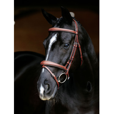 Briglia combinata LeMieux Competition Castagno Marrone