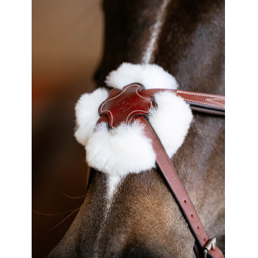 Bridon LeMieux Grackle Castagno Marrone