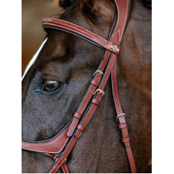 Bridon LeMieux Grackle Castagno Marrone