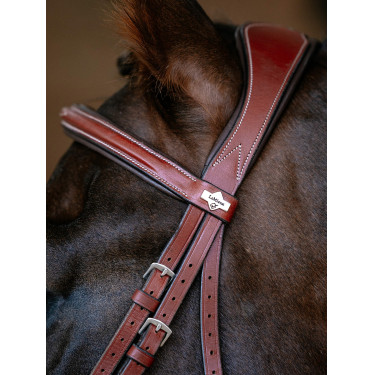 Bridon LeMieux Grackle Castagno Marrone