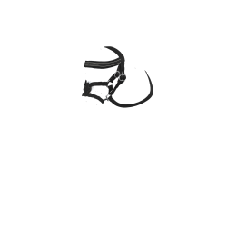 Testiera con capezzina incrociata LeMieux Toy Pony Nero