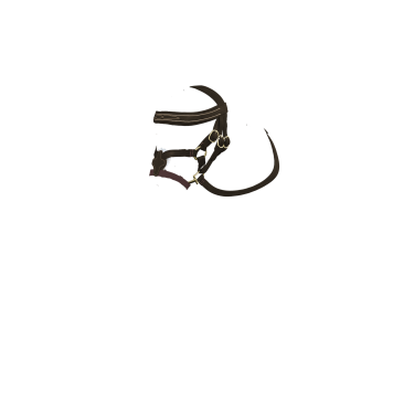 Testiera con capezzina incrociata LeMieux Toy Pony Marrone