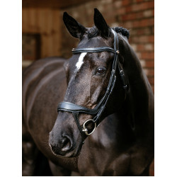 Capezza con capezzina divisa Arika LeMieux Nero