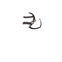 Briglia Hunter LeMieux Toy Pony Marrone Briglia Hunter LeMieux Toy Pony Marrone