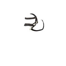 Briglia Hunter LeMieux Toy Pony Marrone