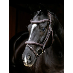 Bridon LeMieux Flash Contour Kudos Marrone
