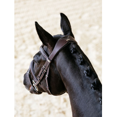 Bridon LeMieux Flash Contour Kudos Marrone