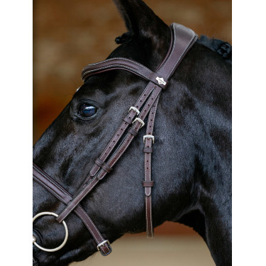Bridon LeMieux Flash Contour Kudos Marrone