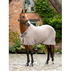 Camicia asciugante in bambù Kudos LeMieux Noce Pecan Beige